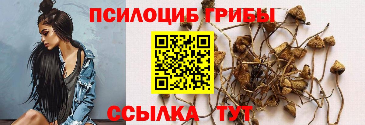 Галлюциногенные грибы мицелий  Вход с VPN  Галлюциногенные грибы прущие грибы  Златоуст 